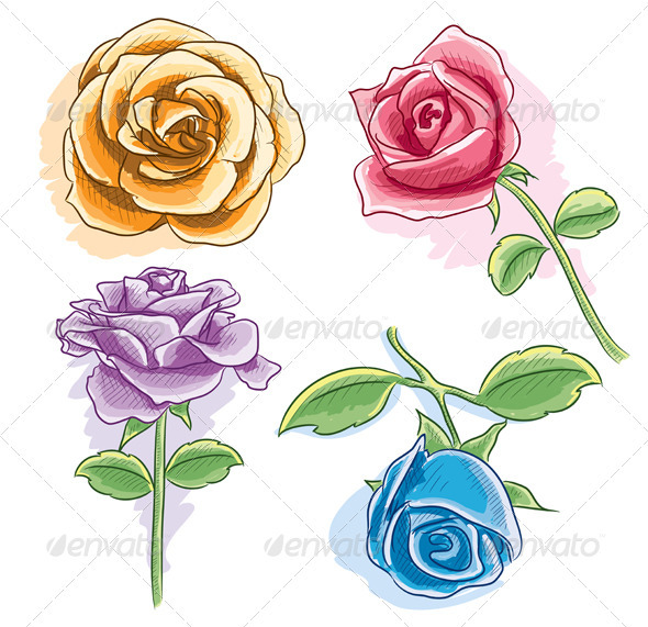 Watercolor Rose - Organic Objects Objects