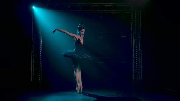 Graceful Ballerina in a Chic Image of a Black Swan. Classical Ballet Choreography. Shot in a Dark alt