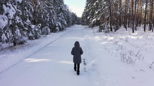 The Girl Walking Along the Road in the Winter Forest
