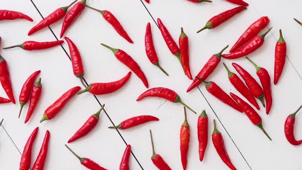Spining in Slow Motion Red Hot Little Chili Peppers Pattern Isolated on White alt