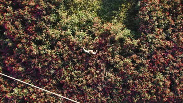 Top view of a girl dancing among blooming flowers