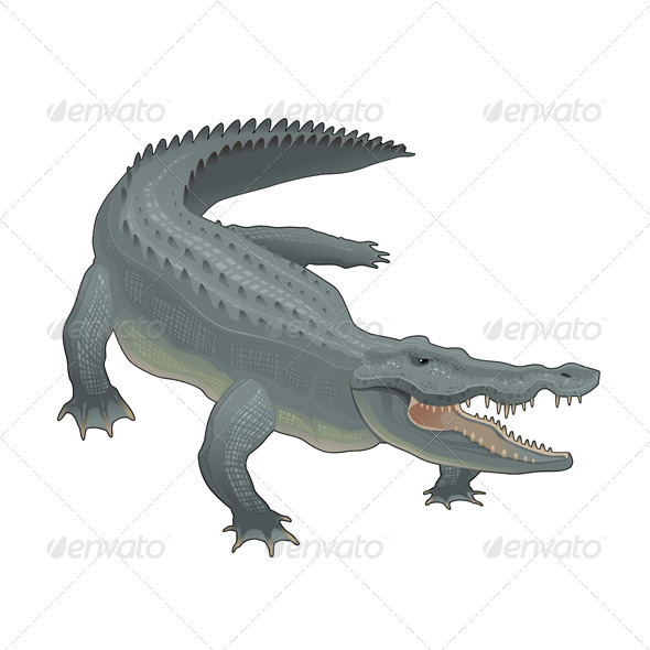 Crocodile. - Animals Characters