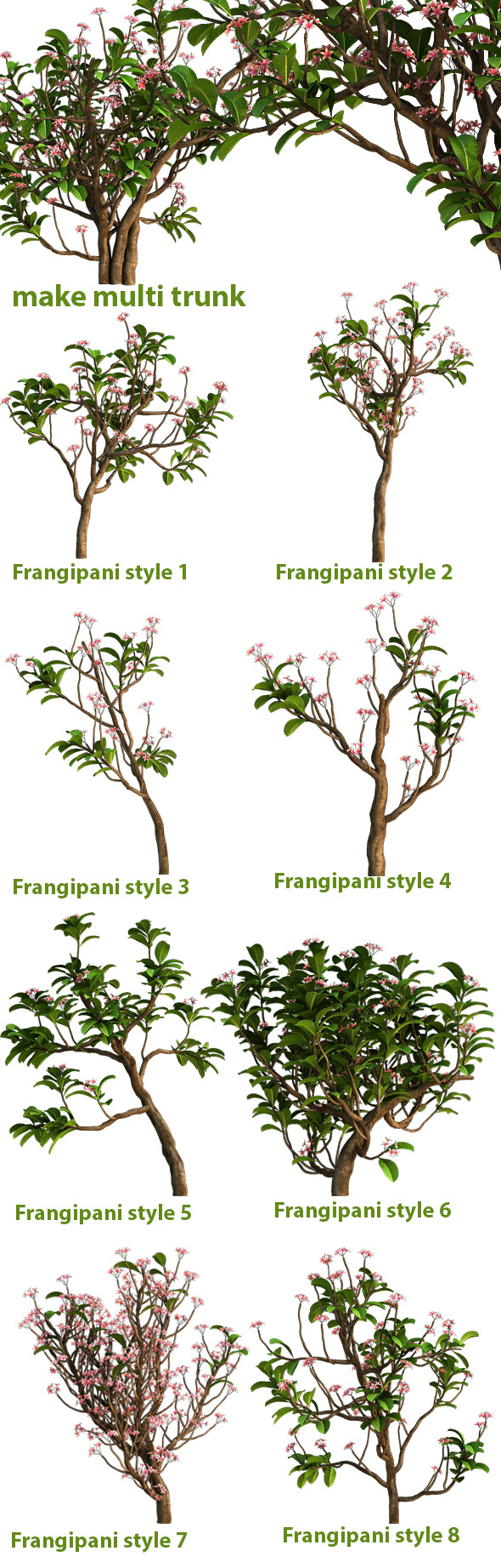 Frangipani Tree - 3Docean 7111991