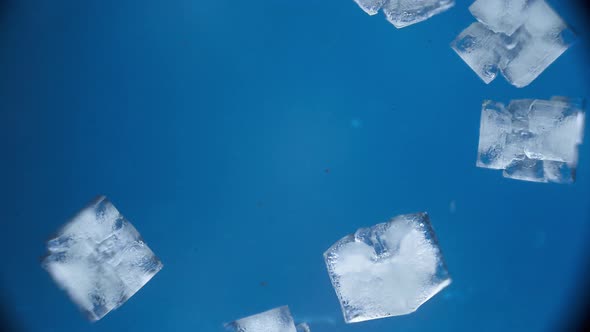 macro photography macrocosm. timelapse structure shot under a microscope alt