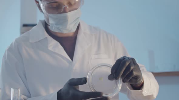 Doctor Researcher in Protective Rubber Gloves and Glasses Examines an Artifact in a Petri Dish alt
