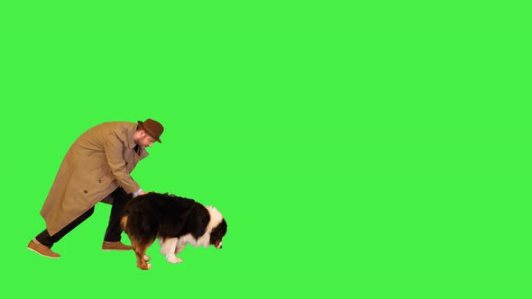 Detective and Australian Shepherd Searching for Clues on a Green Screen Chroma Key