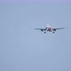 Plane Flies Up to the Airport - VideoHive Item for Sale