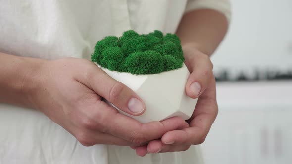 Young Woman Holding Can Watering Green Plants Taking Care Growing Flowers in Modern Office Creative alt