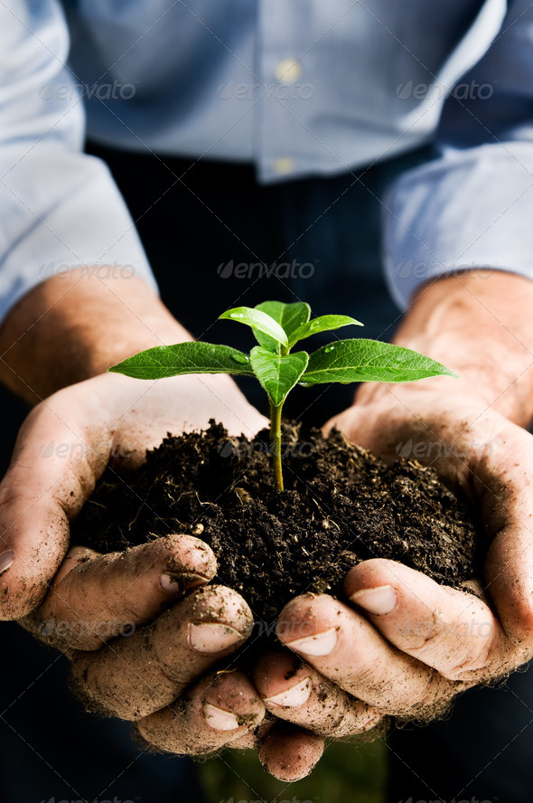 New life - Stock Photo - Images