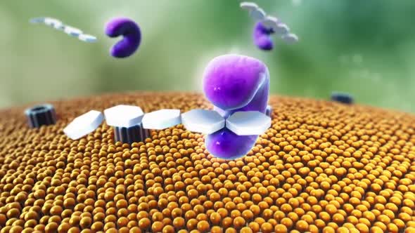 Glucose and insulin molecules in the blood. alt