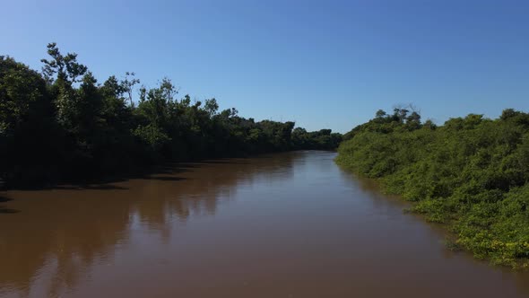 Muddy Tropical River
