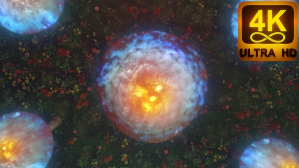 3D Trippy Video For Your Background Psychedelic Mushrooms Fairy Magical Forest. Vj Loop 4K Animated alt