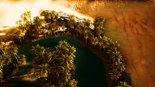 Top Down Aerial View of Oasis in Desert alt