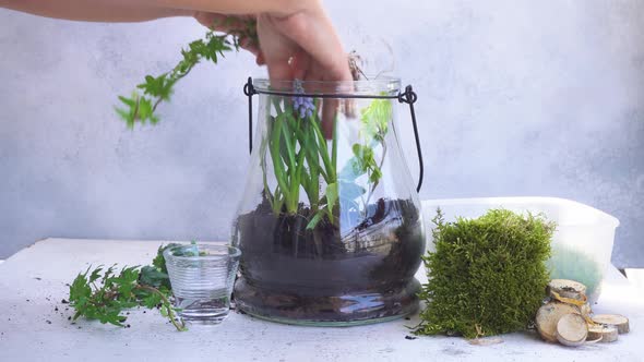 Indoor Gardening alt