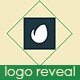 Elegant Clean Logo Reveal - VideoHive Item for Sale
