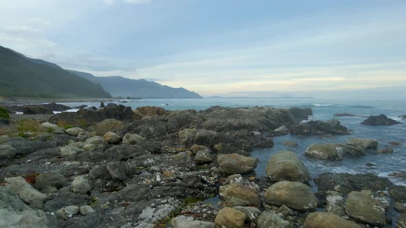 Small birds flying around wild rocky beach on Kaikoura coast in New Zealand alt