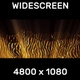 Gold Widescreen - VideoHive Item for Sale