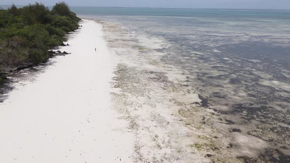 Lonely Woman Walking on the Beach at Low Tide Low Tide in Zanzibar Slow Motion alt