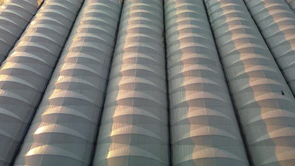 Aerial Drone View of Huge Areas Greenhouse for Growing Vegetables alt