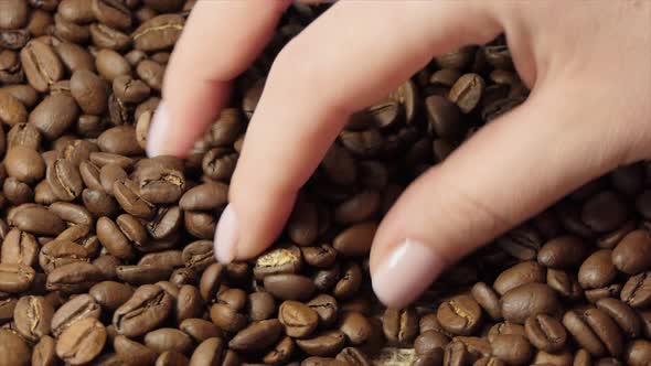 Roasted Coffee Beans Spinning