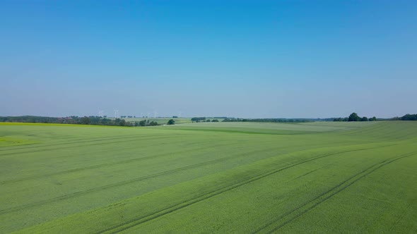 Windmill Turbines in Green Field Wind Energy Concept alt