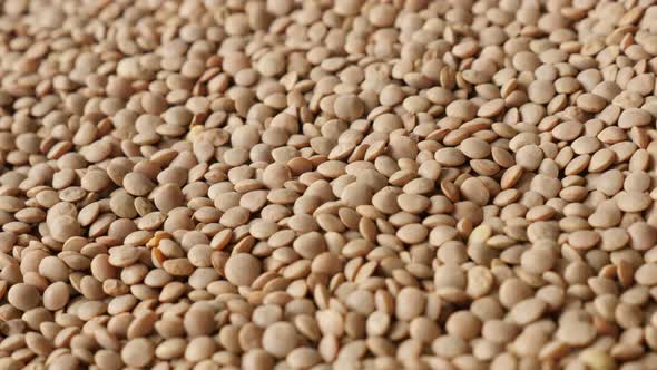 Slow pan over edible pulse of lentil 4K 2160p 30fps UltraHD footage - Pile of tiny Lens esculenta on alt