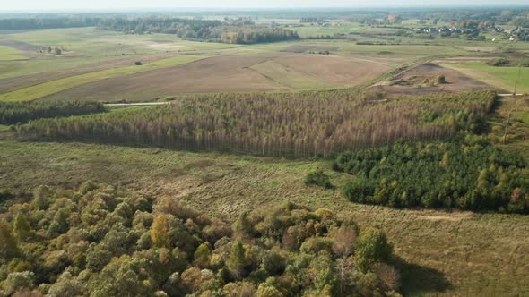AERIAL: Autumn Season with Forest and Plains in Background