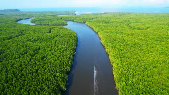 Top view of the boat cruising along the river with mangroves surrounding. alt