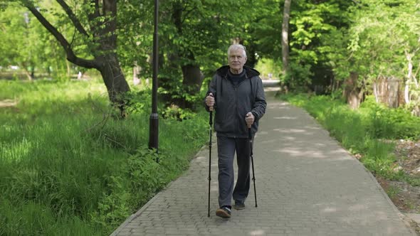 Active Senior Old Man Training Nordic Walking with Ski Trekking Poles in Park alt