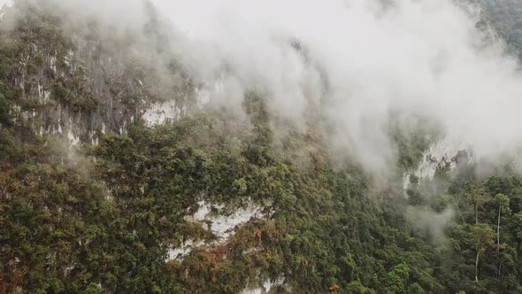 An Aerial Ascending Shot of the Fast Clouds Moving Above the Rainforest at the Mountains