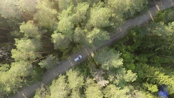 Aerial View of the White Car on Road in the Forest alt