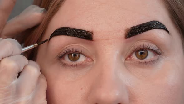 Professional Coloring Eyebrows