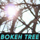 Bokeh Tree Background 9 - VideoHive Item for Sale