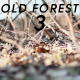 Old Forest 3 - VideoHive Item for Sale