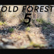 Old Forest 5 - VideoHive Item for Sale