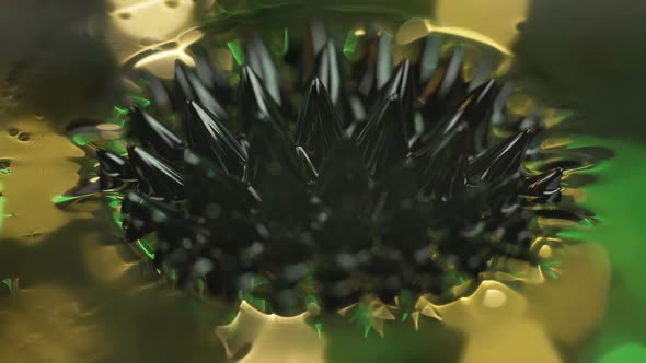 Ferrofluid. Beautiful Colors and Fantastic Shapes. Close-up