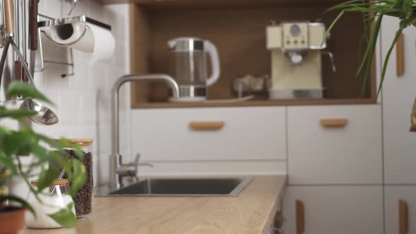 The Girl Puts A Bag Of Groceries On The Table, The Hostess Puts A Paper Bag With Groceries alt