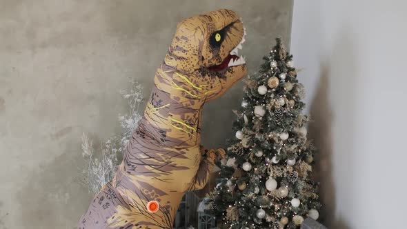 Huge Inflatable Dinosaur Is Decorating Christmas Tree in New Year Time.