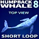 Humpback Whale 8 - VideoHive Item for Sale
