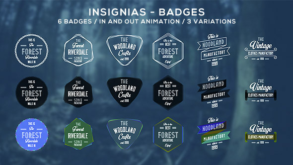 Insignias - Badges