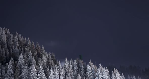 Night lapse over a coniferous forest in Fundata, Romania alt