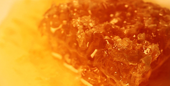 caramel honey animix online