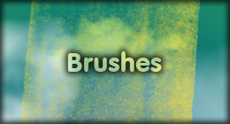 Brushes