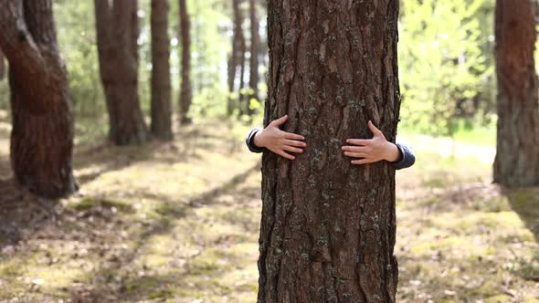 Man with his hands hugs a tree trunk, unity with nature, environmental protection. hand touch 