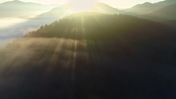 Breathtaking Sunrise Mountains alt