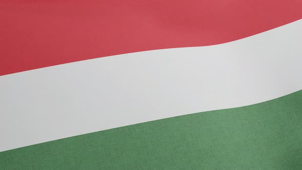 National Flag of Hungary Waving Original Size and Colors 3D Render Magyarorszag Zaszlaja is Official alt