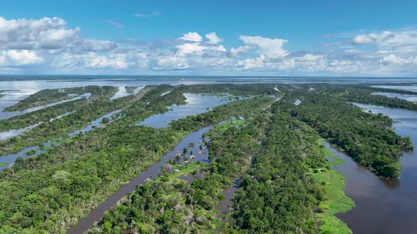 Stunning landscape of Amazon Forest at Amazonas State Brazil. alt