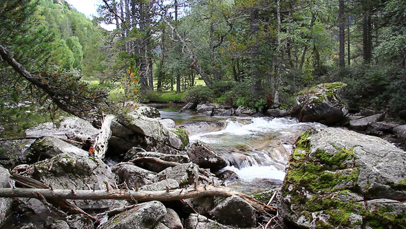 A river flowing between rocks