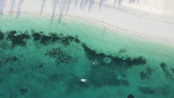 Vertical Video of the Coast of Zanzibar Island Tanzania Slow Motion alt