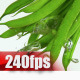 Green Beans - VideoHive Item for Sale